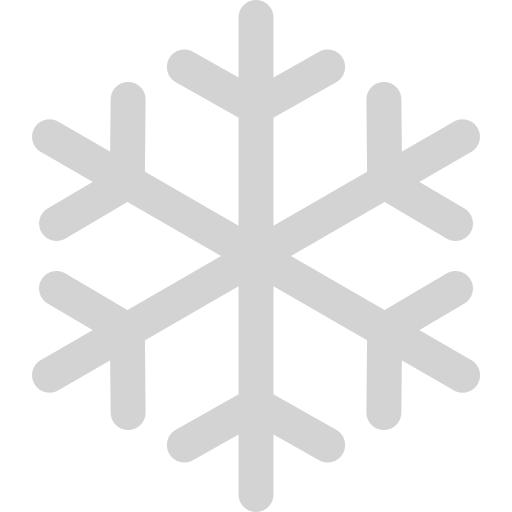 snowflake (1)