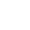 snowflake (2)
